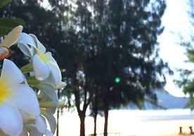 Baan Golden Resort