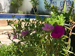 Nika's House