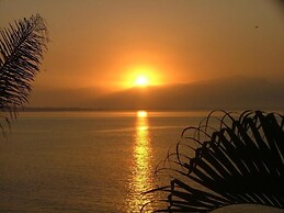 Jardin del Mar