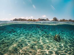 Gili Treehouses