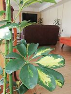 Hostal Baquedano