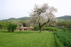 La Collina dei Ciliegi