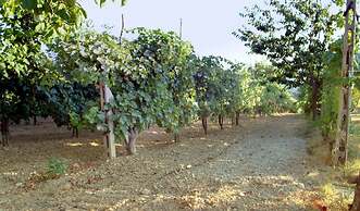 Agriturismo Belvedere Cramaccioli