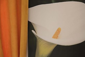 Aurelia Rooms