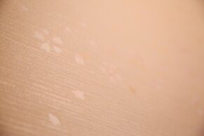 Oyado Tofukuji 2