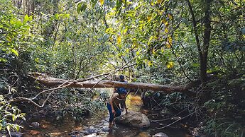 Wayanad Wild Rainforest lodge by CGH Earth