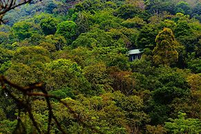 Wayanad Wild Rainforest lodge by CGH Earth