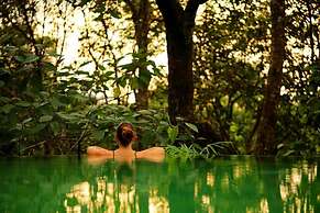 Wayanad Wild Rainforest lodge by CGH Earth