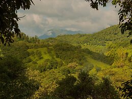 Wayanad Wild Rainforest lodge by CGH Earth