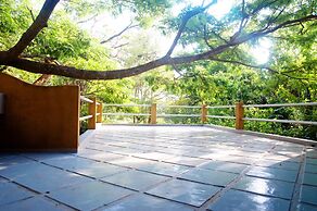 Raintree