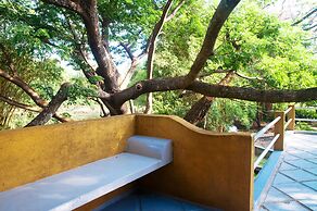 Raintree