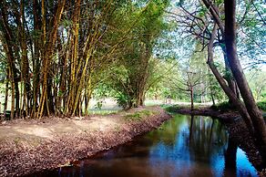 Raintree