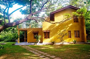 Raintree