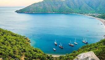 Hotel 212 Olympos