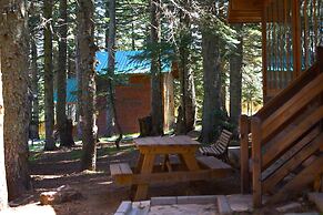 Karinna Forest Houses