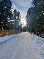 Karinna Forest Houses