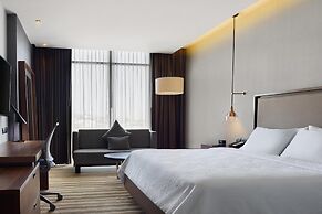 Hilton Garden Inn Chihuahua