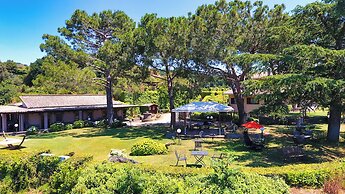 Le vigne