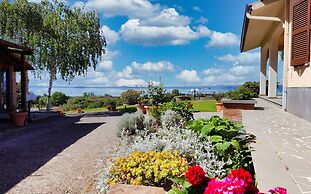 Le vigne