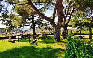 Le vigne
