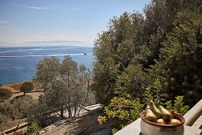 Selana Suites