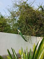 Saman Resort