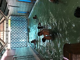 Palm Rivera - Hostel
