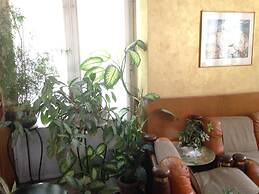 Hotel Rey