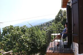 Villa Asterina