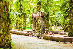 Raipreda Homestay