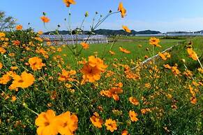 Haruno Guest House - Hostel