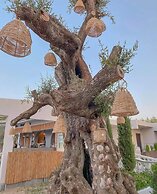 Venus Resort