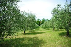 Agriturismo al Colle