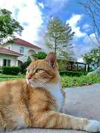 Balilover B&B
