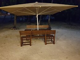 Surf Deck