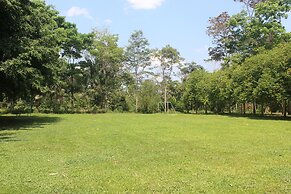 La Habana Amazon Reserve