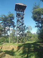 La Habana Amazon Reserve