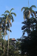 La Habana Amazon Reserve