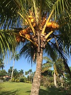 Villa Jacaranda Sosua