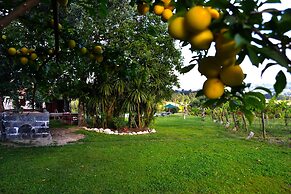 Quinta do Olival