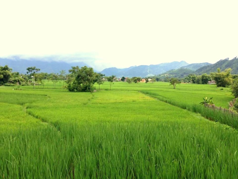 Xoi Homestay Ba Be Lake
