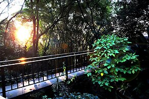 Lost Trail Bed and Breakfast