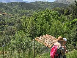 Aravanes