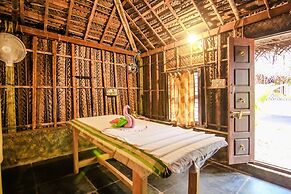 Palm Trees Ayurvedic Heritage