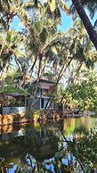 Palm Trees Ayurvedic Heritage