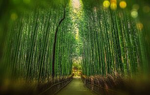 Shofu-an Kiyomizu-tei