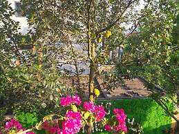 Lys Homestay