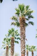 Selvi Beach Hotel