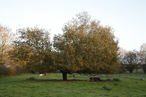 Saddlers