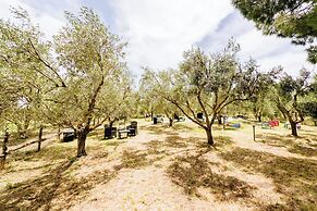 Agriturismo la Fragolaia